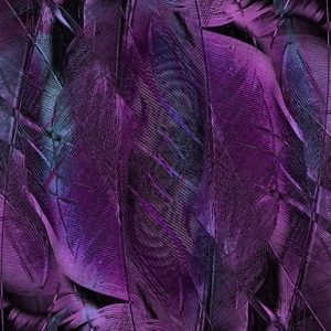 BOTOX VIOLET BONEQUINHA