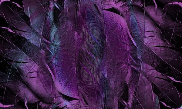 BOTOX VIOLET BONEQUINHA