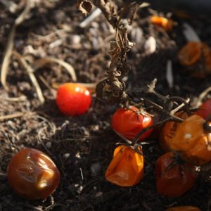 SABONETE LÍQUIDO CEREJA E AVELÃ HIDRAMAIS